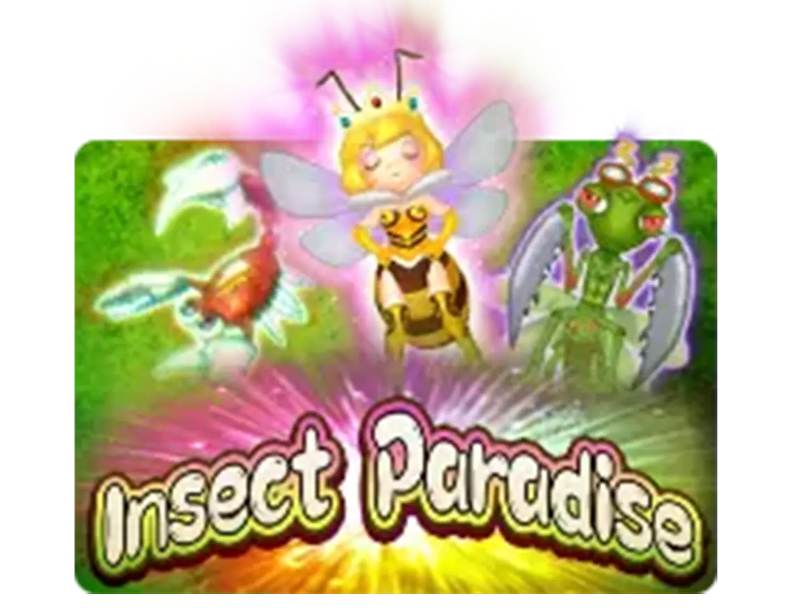 Insect Paradise